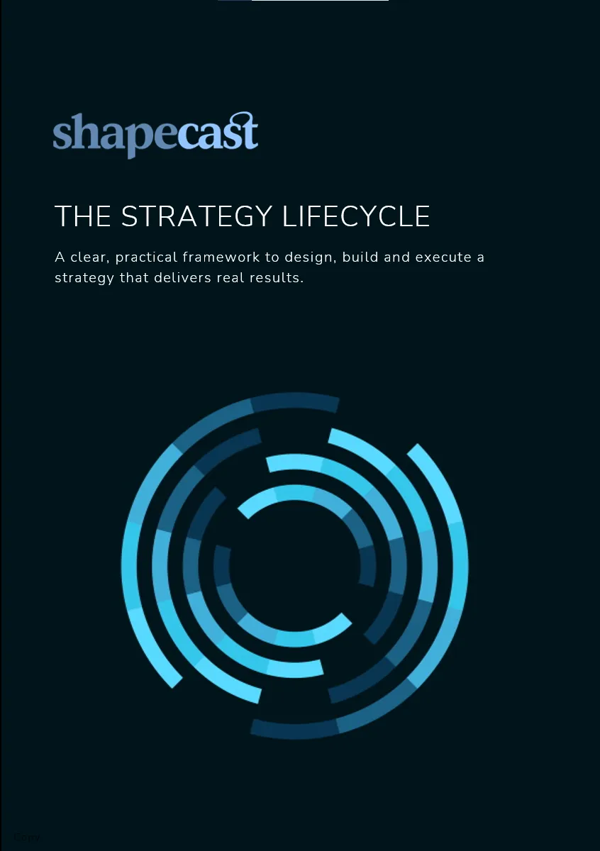 Strategy Lifecycle